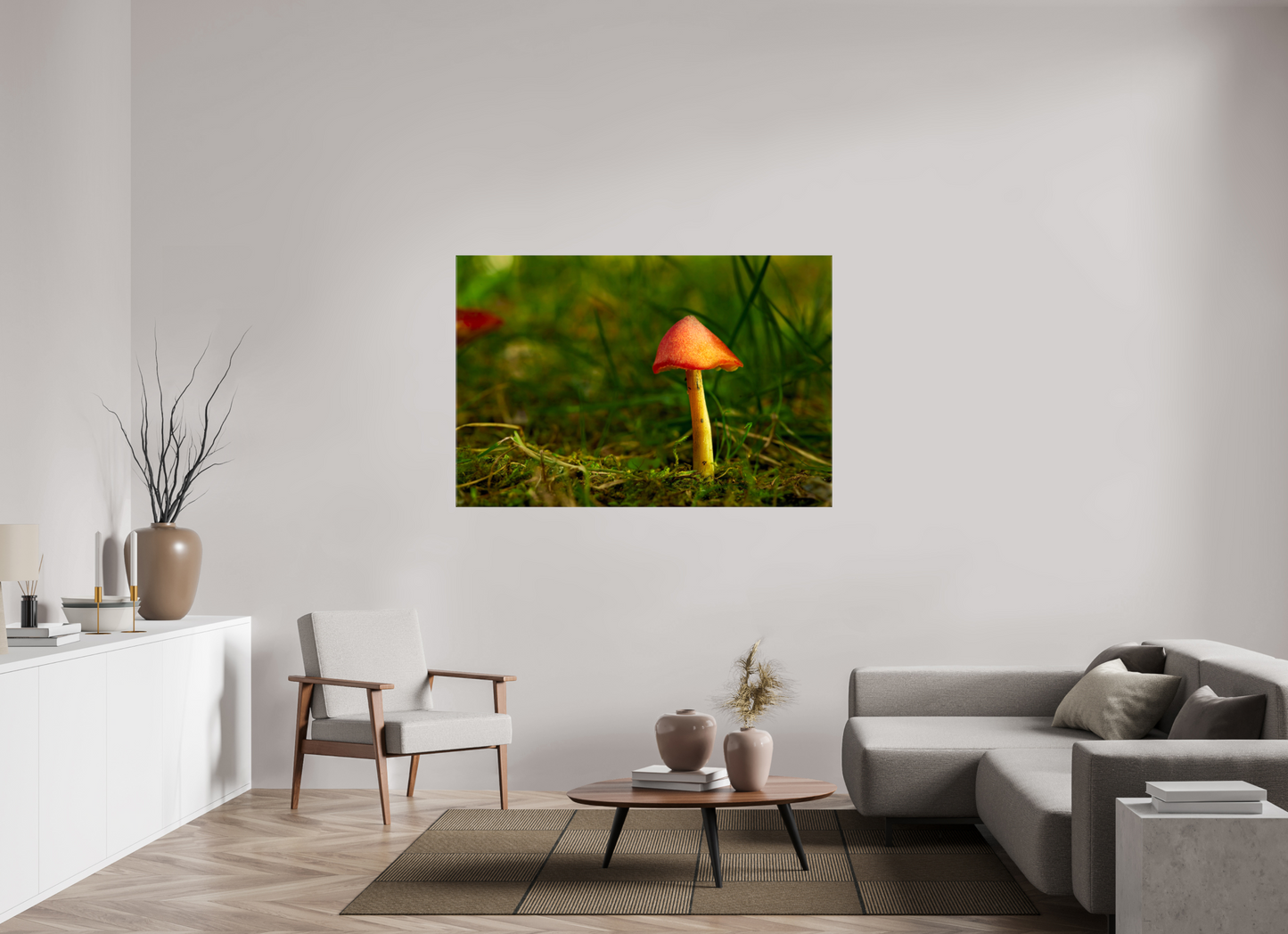 60 x 40″, Glossy Canvas Red Cap | Light Painted Fine Art Photography