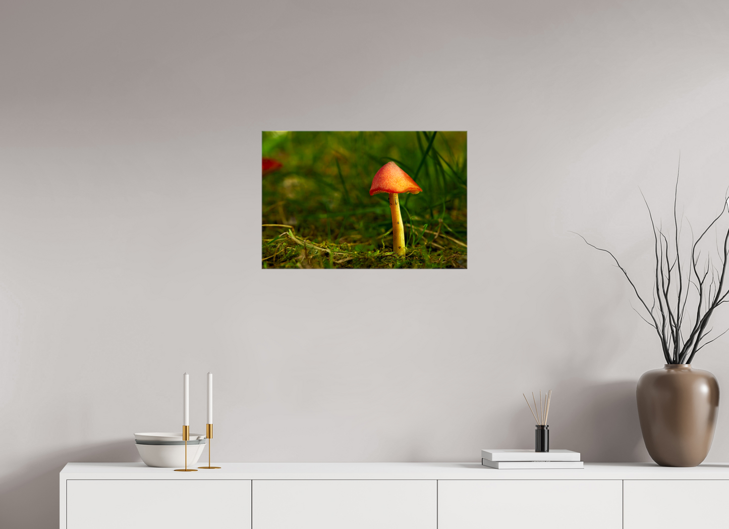 24 x 16″, Glossy Canvas Red Cap | Light Painted Fine Art Photography