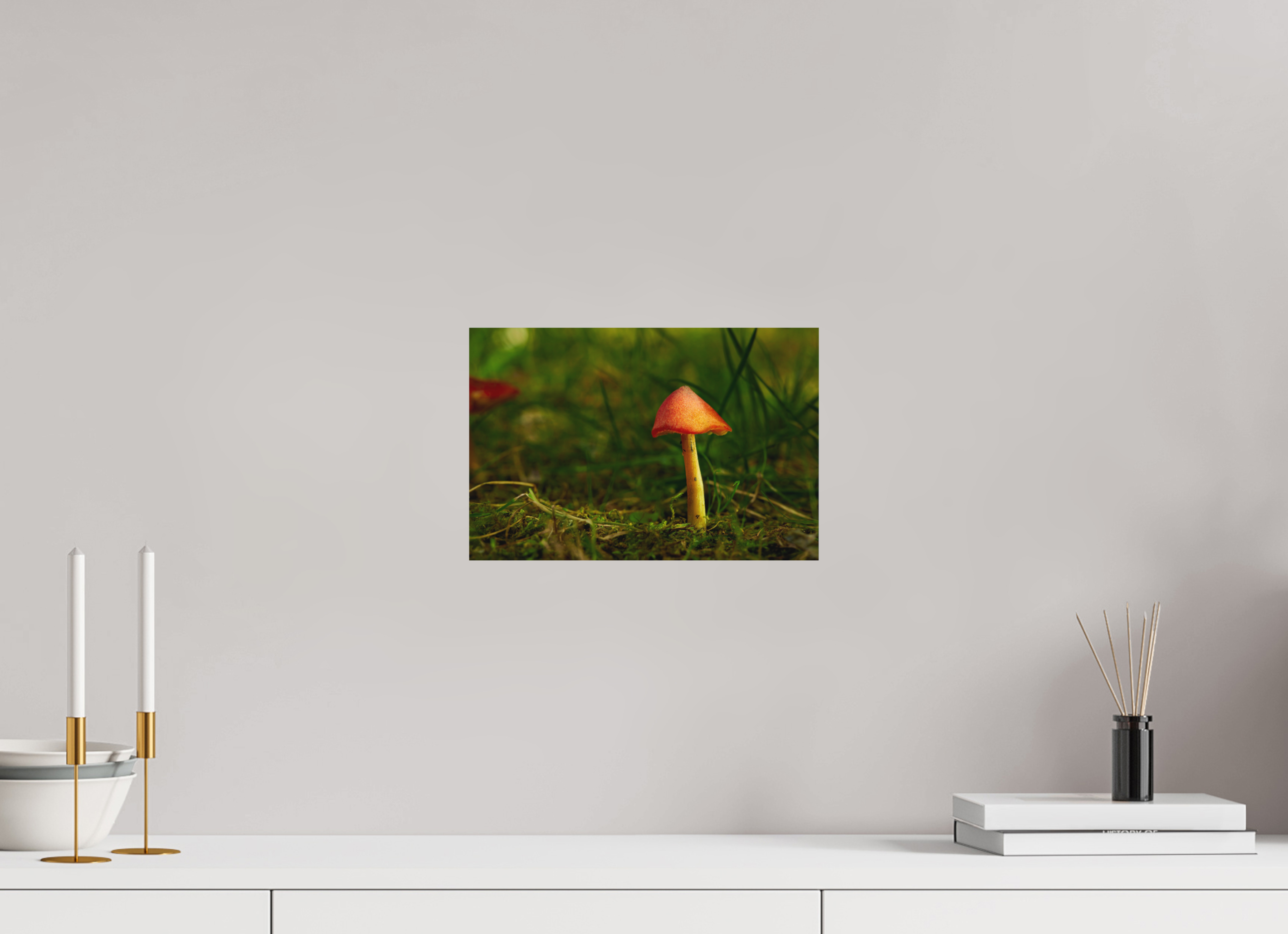 12 x 8″, Metal Print Ready To Hang Red Cap