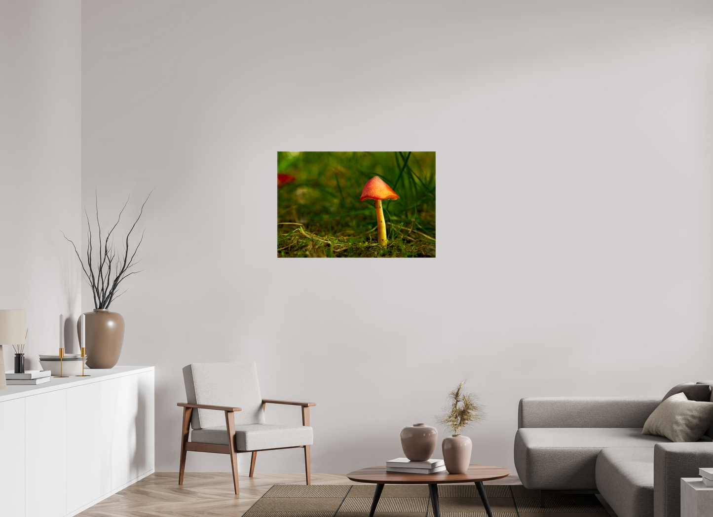 36 x 24″, Glossy Canvas Red Cap | Light Painted Fine Art Photography